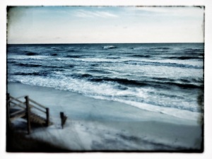Gulf Coast Late Winter 2012