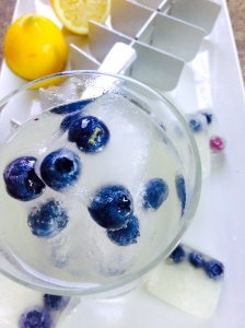 Thursday, May 15th, Blueberry Lemonade Ice Cubes, Photo Shoot
